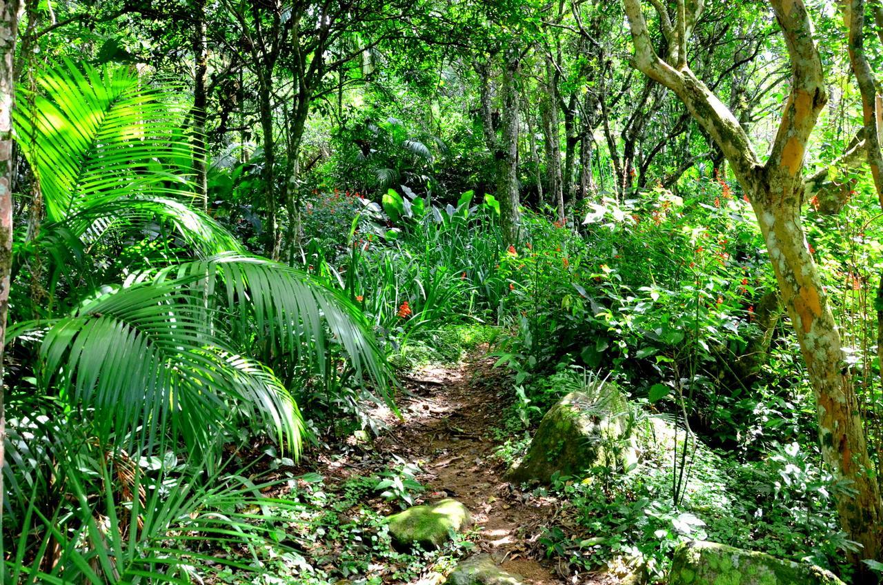 Pousada Sitio Dos Tucanos Florianópolis Esterno foto